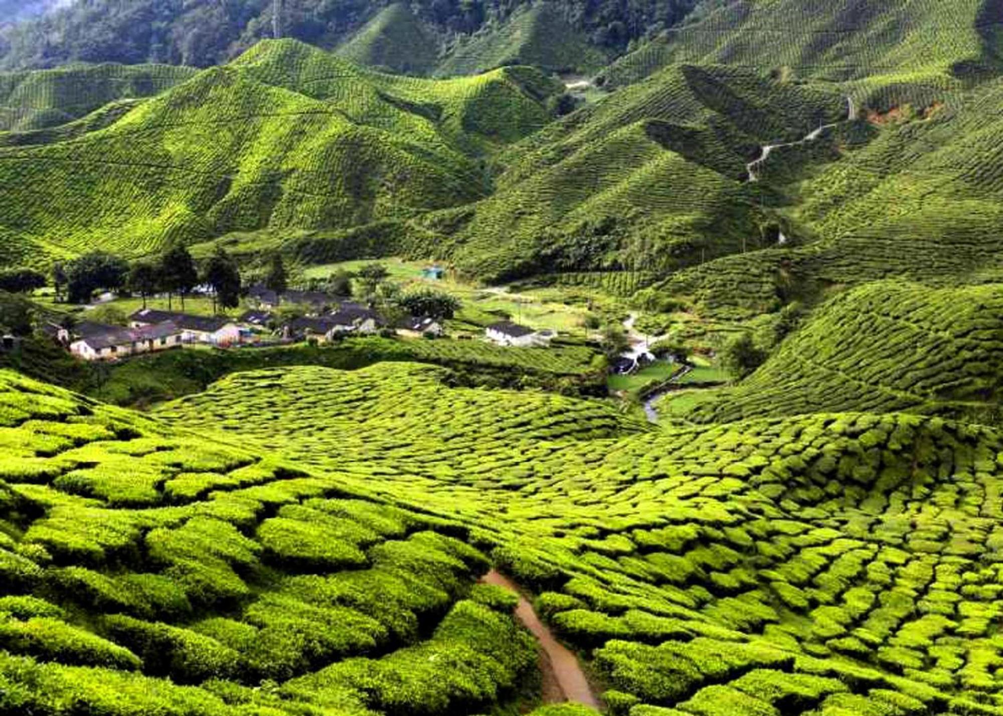 Ark Serendah Hotel Hulu Yam Lama Exteriér fotografie